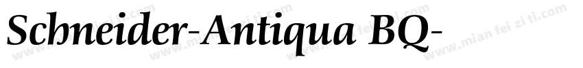Schneider-Antiqua BQ字体转换